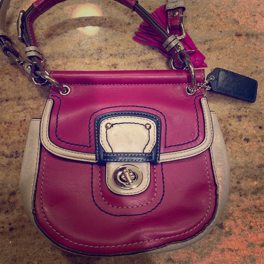 Purple and gray coach bag